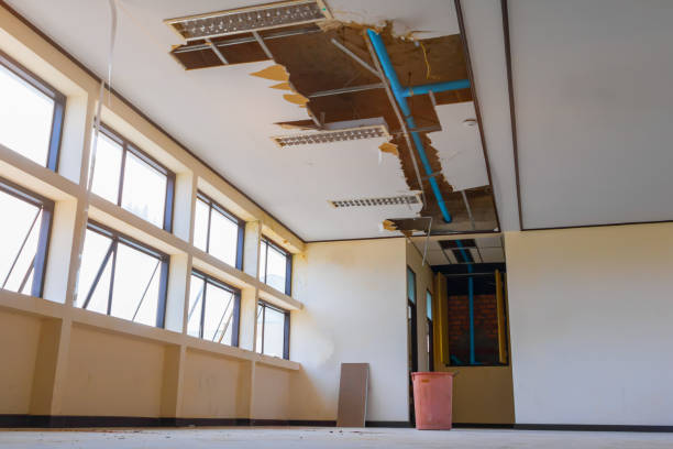 Best Residential water damage restoration  in Island Walk, FL