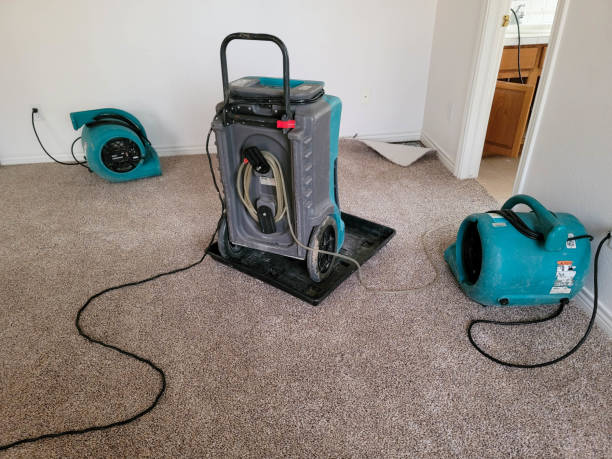 Best Water damage cleanup near me  in Island Walk, FL