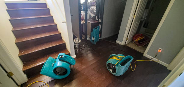 Best Flood restoration services  in Island Walk, FL