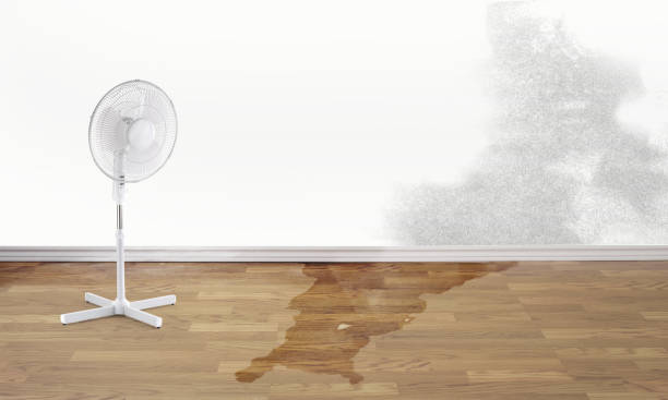 Best 24/7 water damage repair  in Island Walk, FL