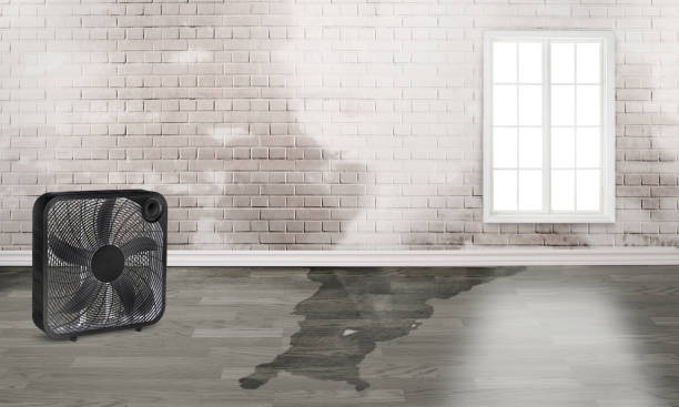 Best Commercial water damage restoration  in Island Walk, FL