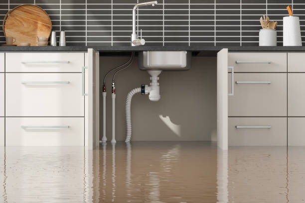 Best Water damage restoration near me  in Island Walk, FL