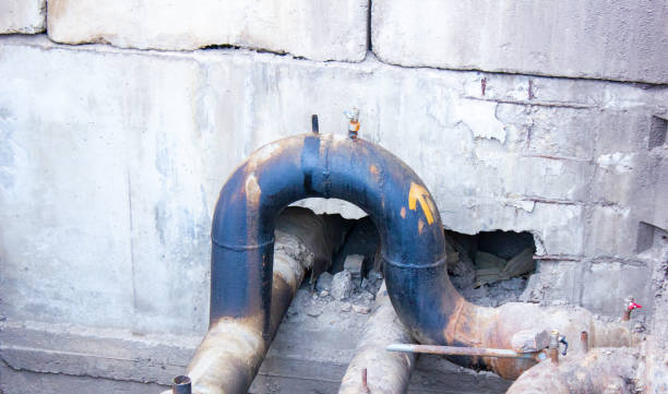 Best Professional water damage repair  in Island Walk, FL