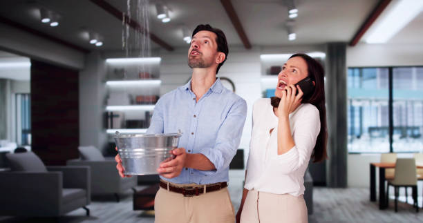 Best Flood damage cleanup  in Island Walk, FL